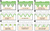 Figure 3.29 A: Pemphigus vulgaris B: IgA pemphigus C: Paraneoplastic pemphigus D: Bullous pemphigoid E: Linear IgA bullous dermatosis F: Lupus erythematosus G: Dermatitis herpetiformis H: Lichen planus I: Porphyria cutanea tarda