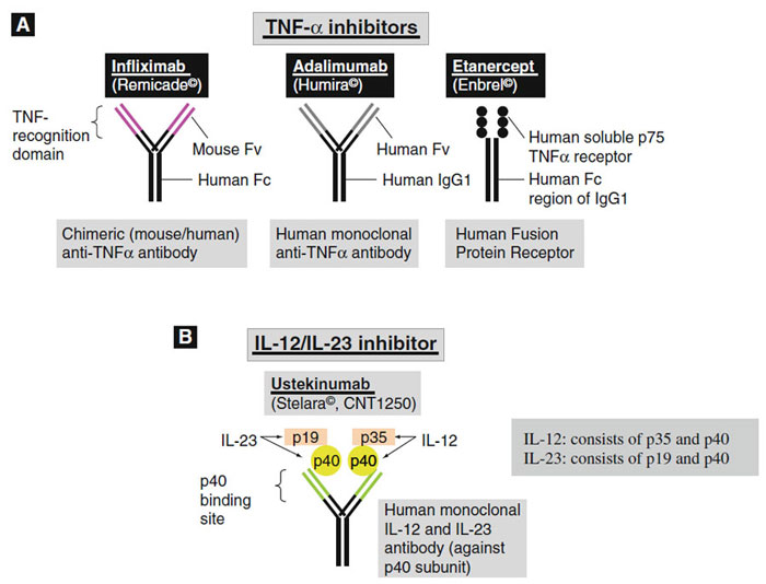 Figure 7.3 A: TNFα inhibitors B: IL-12/IL-23 inhibitor